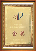 中国专利新技术新产品博览会 金奖